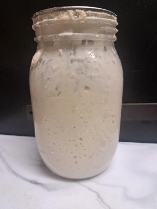 My sourdough starter 