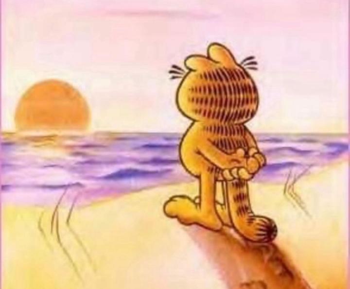 Jb S