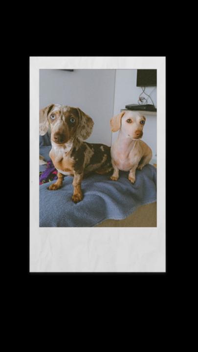 Leslie Eleonor Blanco Barrios