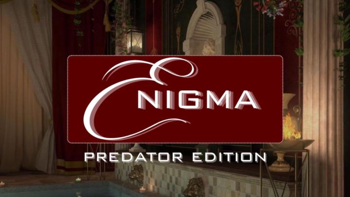 24 hours only ENIGMA price drop