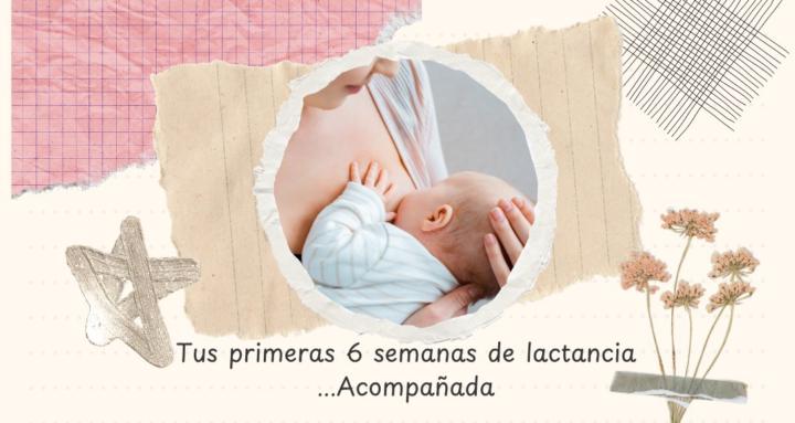 Lactancia acompañada 6 semanas