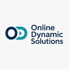 Online Dynamic Solutions