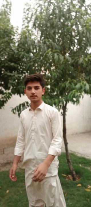 Ali Jan