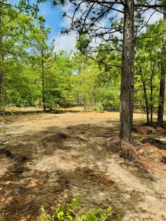 Building out new homesites on a subdivide. 