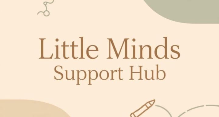 Little Minds Support Hub