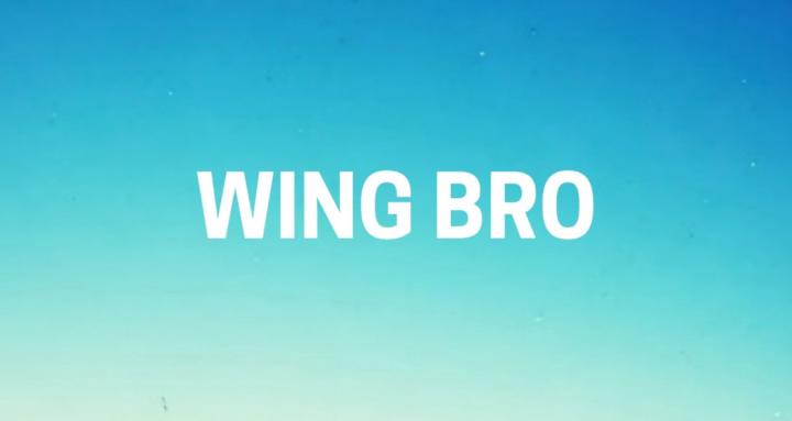 Wing Bro Academy