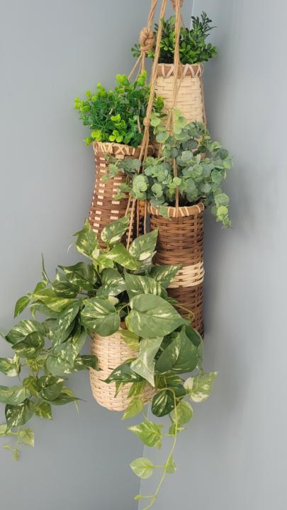 Hanging Vase Baskets