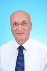 Mohamed Amri