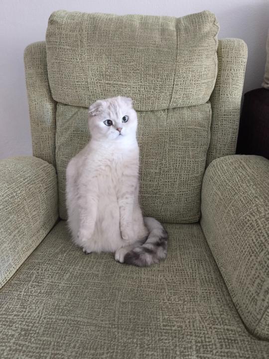 Nicolas Aguilera Terron