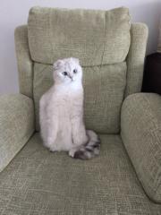 Nicolas Aguilera Terron