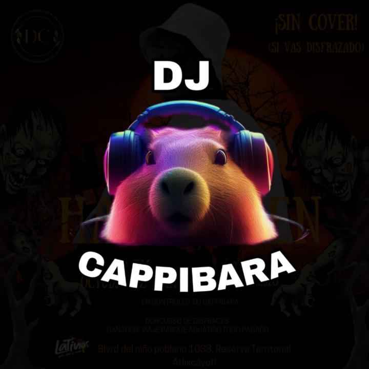 Dj Cappibara