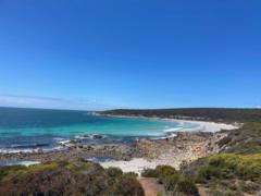 Abou mohamed Al hijari