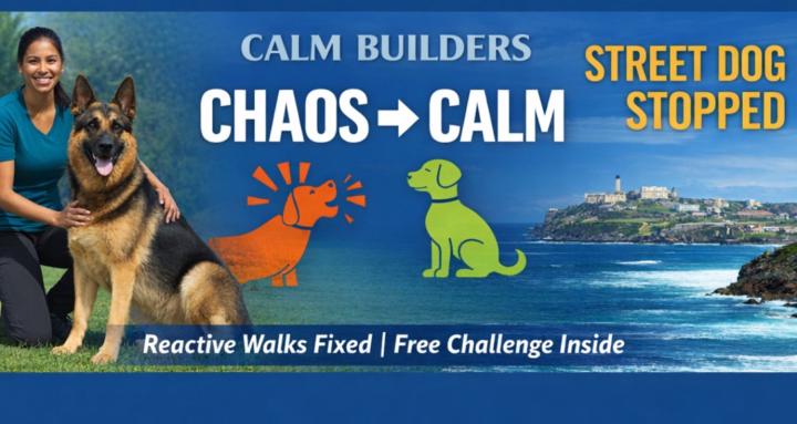 Calm Builders