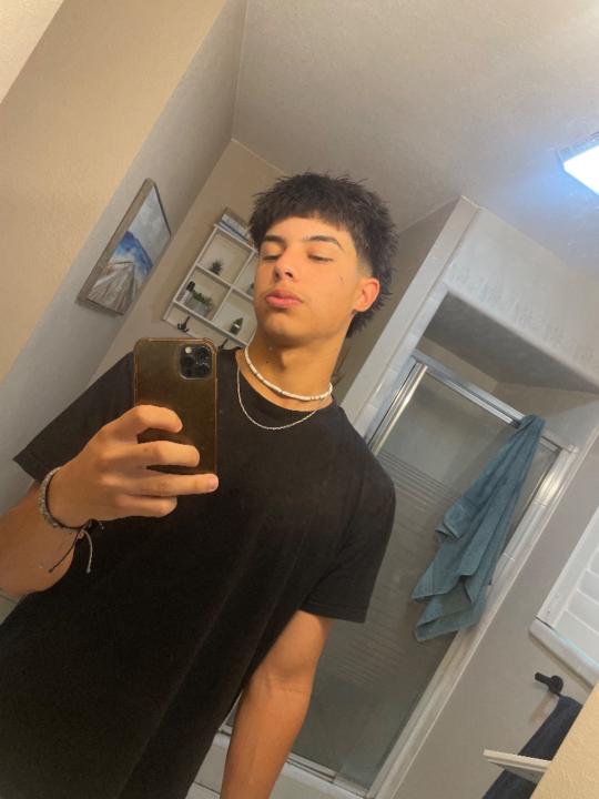 Niko Ibarra