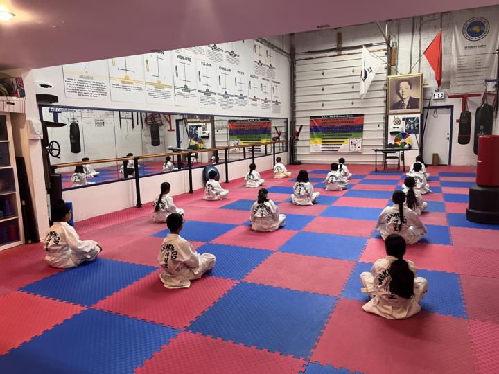 The development of discipline in the Dojang