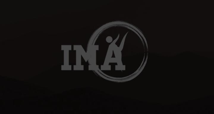 IMA  Institute Of Martial Arts