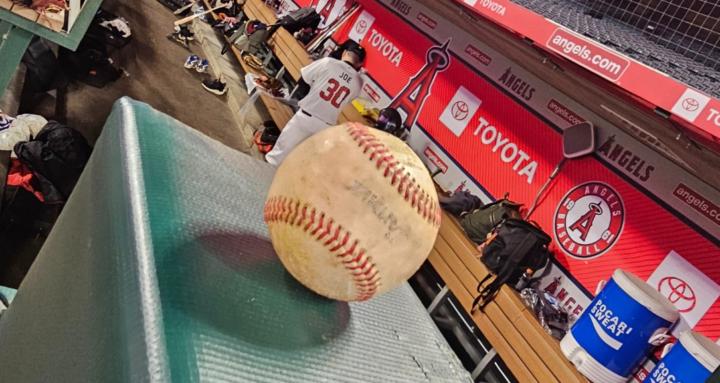 OC Baseball Group Umpires