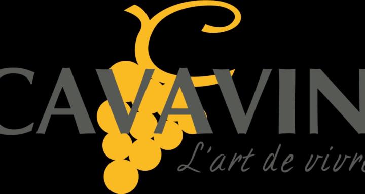 Cavavin