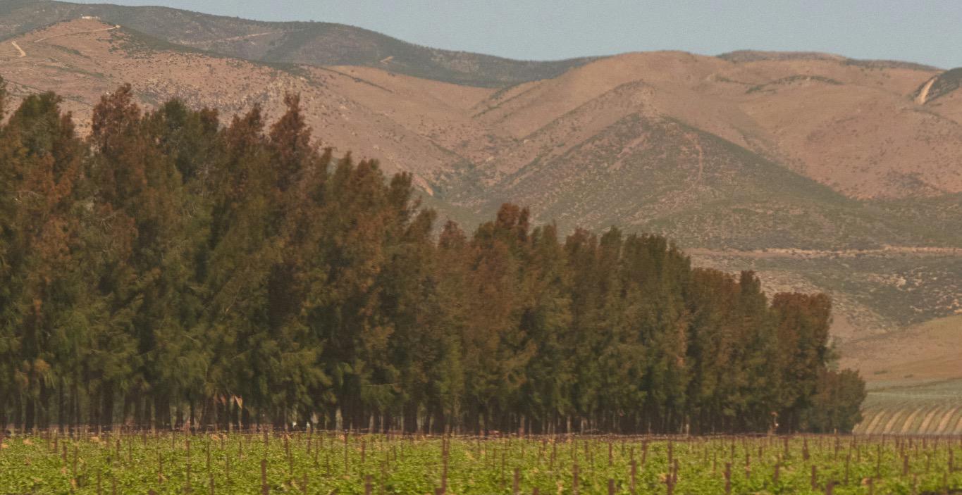 Basiskennis nieuwe Wereld