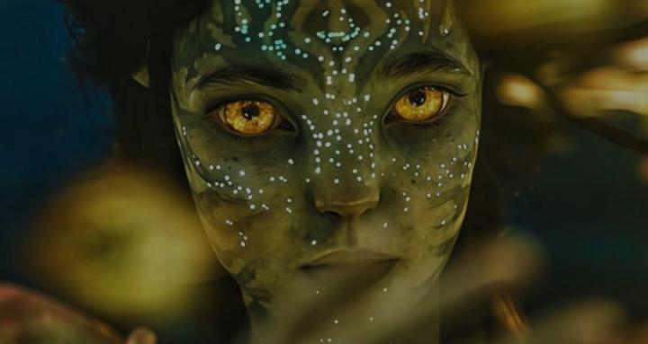 Comunidad Mujer Avatar