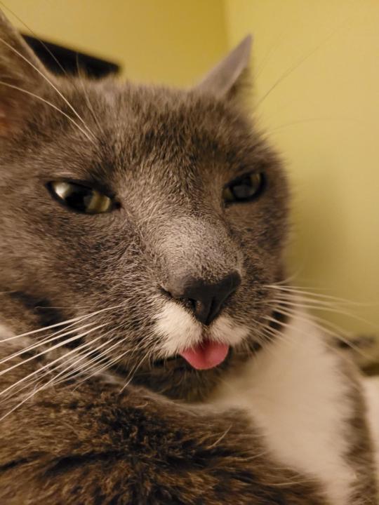 Larissa Pasechnikoff