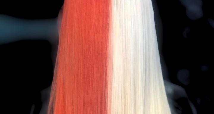 Hair Color Education with D 