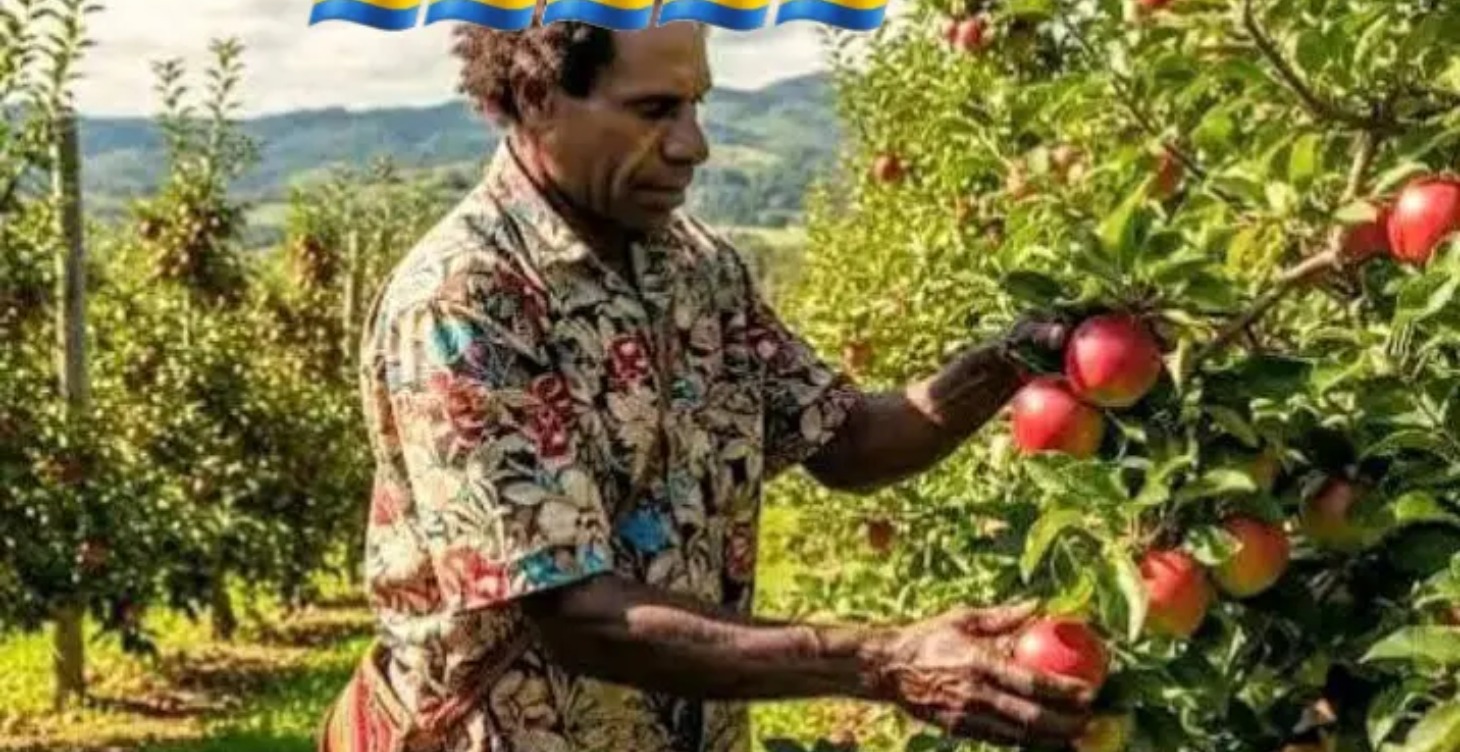 MENYAMYA APPLE 🍏