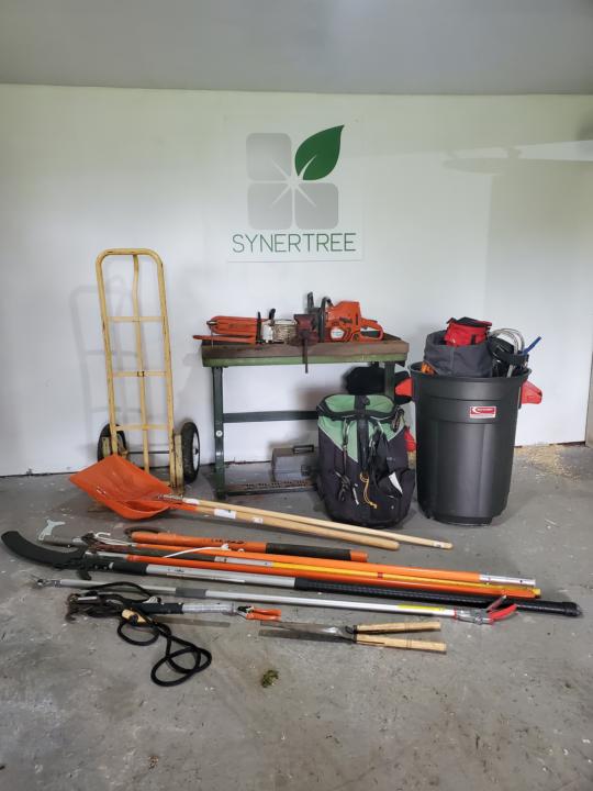 The synertree advantage