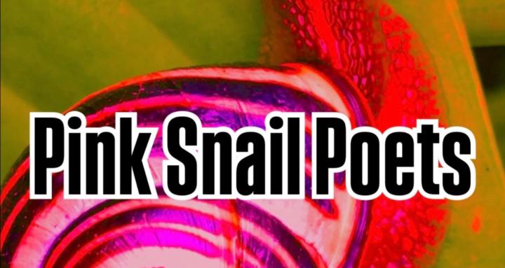 Pink Snail Poets