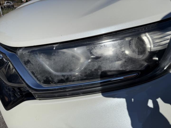 2017 Honda CRV (had bug spray previously) 