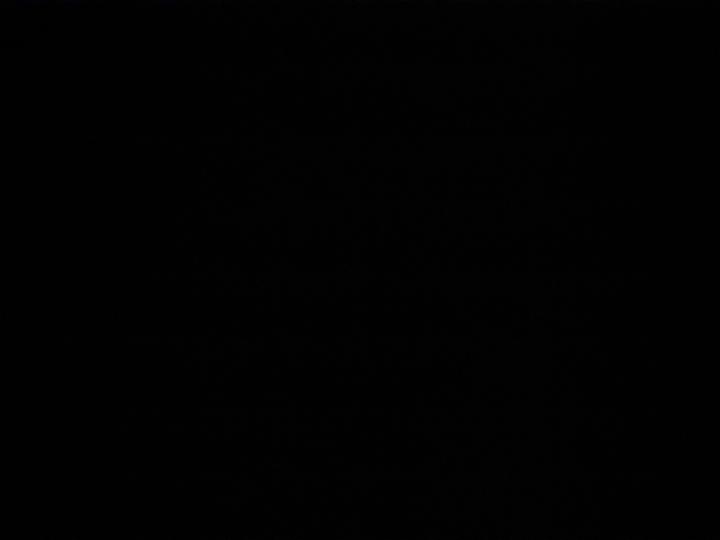 Night More.