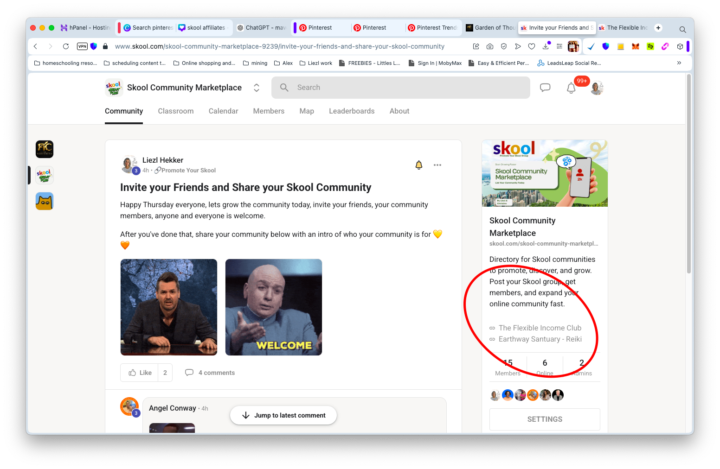 Want your Skool Link pinned??