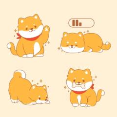 Daniel Shi