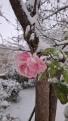 فاطمة الحاج عمر