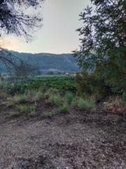 Amelia Martínez Garcia