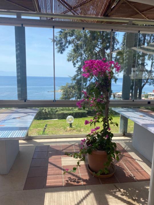 Naciye Deniz Ozdek