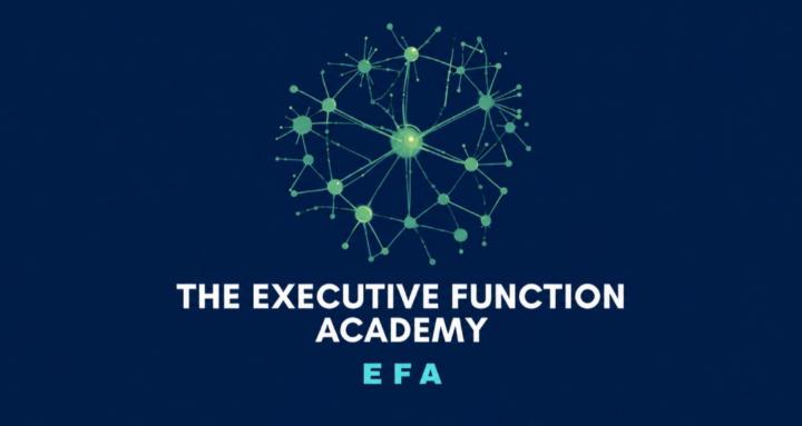 Executive Function Academy
