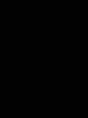 Ghadi Chender