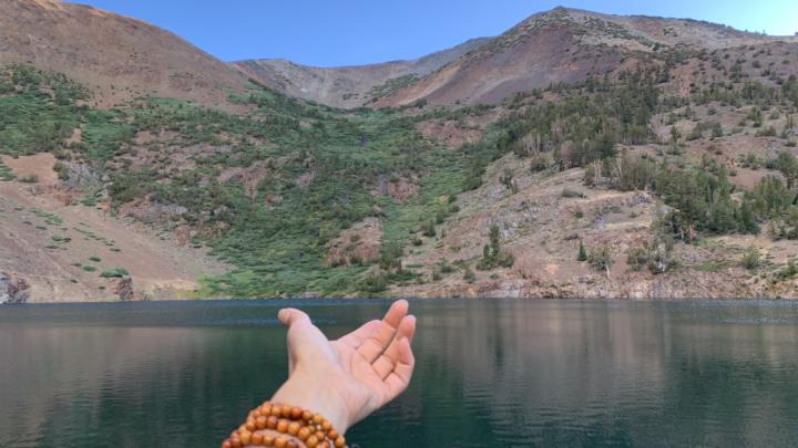 LA LEY DE LA POTENCIALIDAD PURA