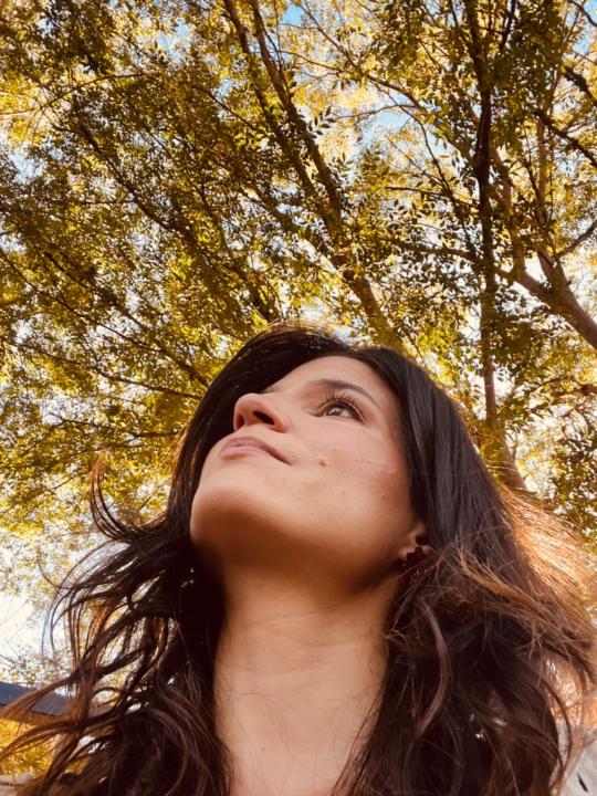 Agua Villegas