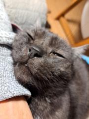 Aleksandra Grabinska