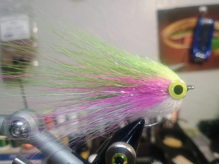 Baby rainbow streamer