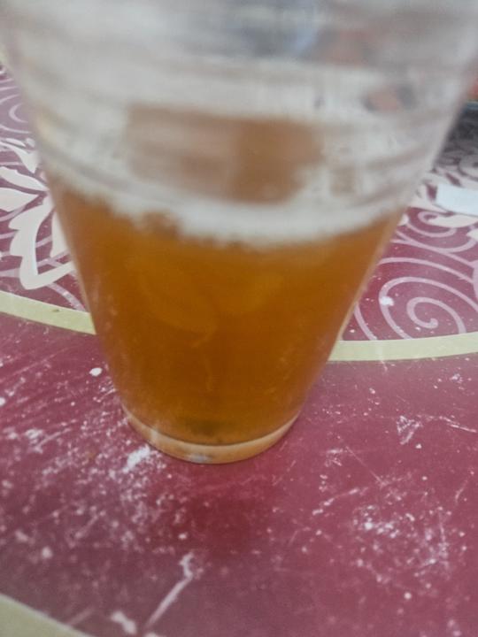 Roser Malagón