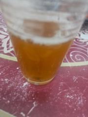 Roser Malagón