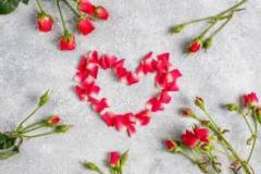 Amour Ravie