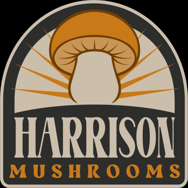 Harrison Kho