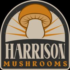 Harrison Kho