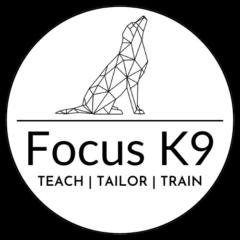 Focus Canine