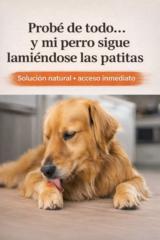 Vicente Oscar Barreto