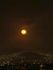 Juan Antonio Segundo Garcia